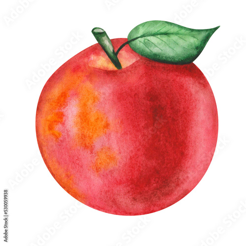 Watercolor illustration of hand painted apple in red, yellow colors with green leaf. Whole round fruit, side view. Fresh juice ingredient. Isolated on white clip art of food for posters, prints