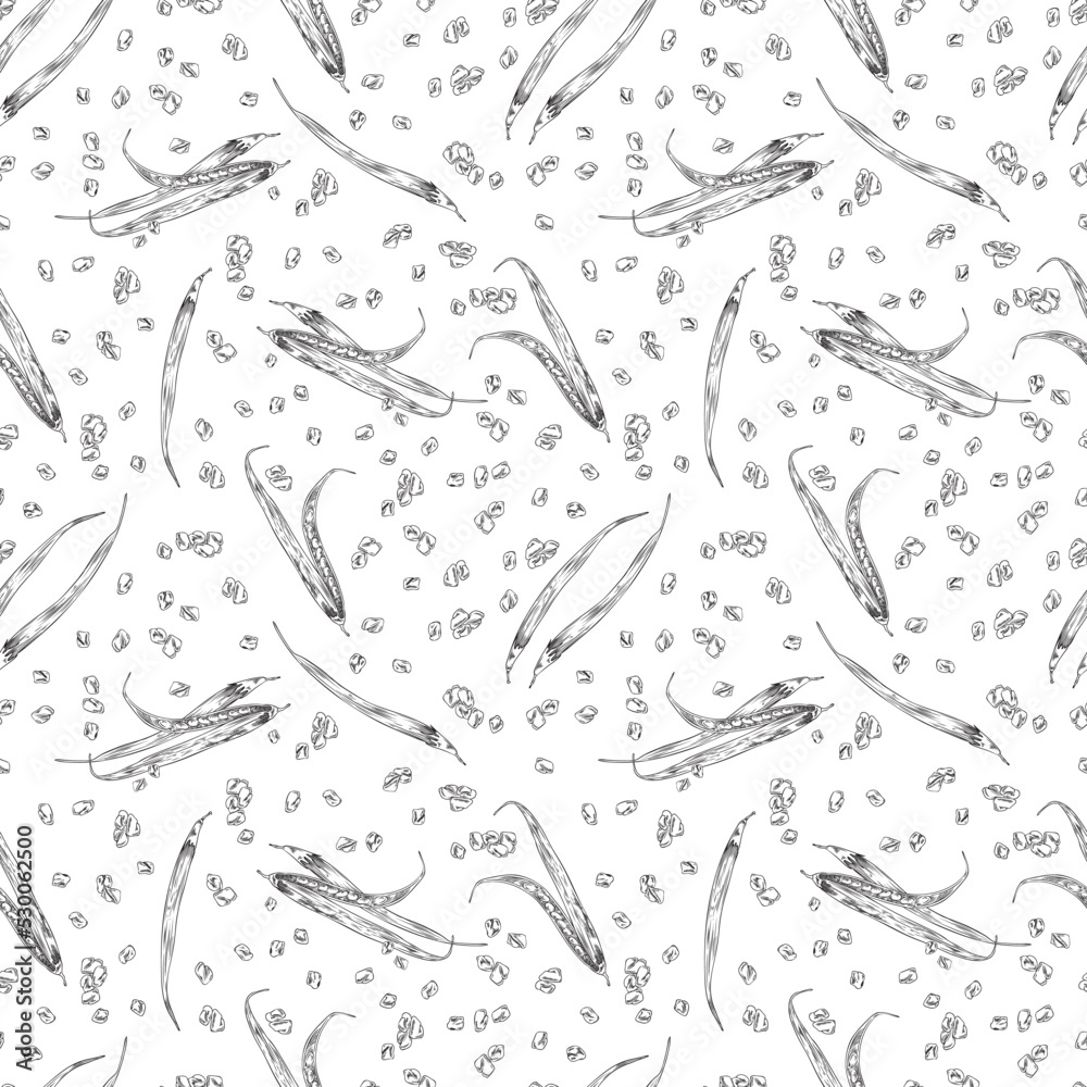 Fototapeta premium Seamless pattern with hand drawn fenugreek pods and seeds sketch style