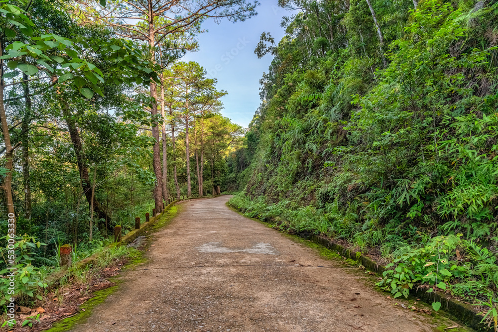 BEAUTIFUL LANDSCAPE PHOTOGRAPHY OF WARK ROAD AT BACH MA NATIONAL PARK IN HUE, VIETNAM