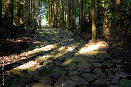 東海道　箱根旧街道の石畳