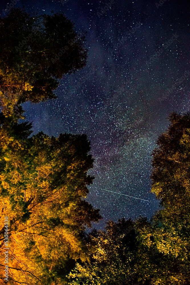 The starry sky through the trees, the milky way between the treetops illuminates the path in the forest. The starry sky is slightly overcast. Soft selective focus, shooting at a long shutter speed.