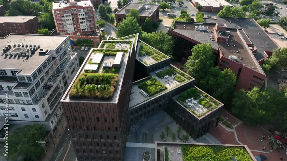 Aerial of green energy outdoor rooftop garden in American city. Plants grow in modern architecture.