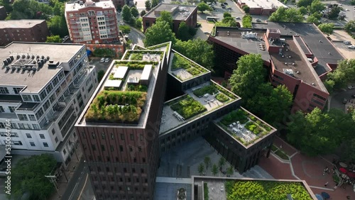 Aerial of green energy outdoor rooftop garden in American city. Plants grow in modern architecture. photo