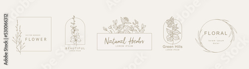 Logo templates in minimal linear style with hand drawn flowers,leaves and twig.Elegant floral frame. Delicate botanical trendy vector illustration for labels, corporate identity, wedding invitation