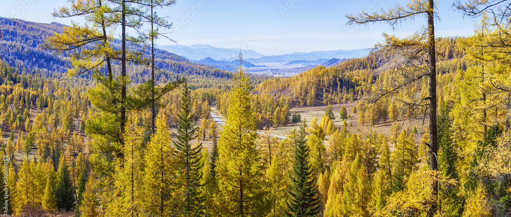 Panoramic view of autumn nature. Picturesque valley, yellow trees. Panoramic view of autumn nature. Picturesque valley, yellow trees.