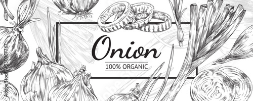 Organic onion background layout hand drawn sketch vector illustration isolated.