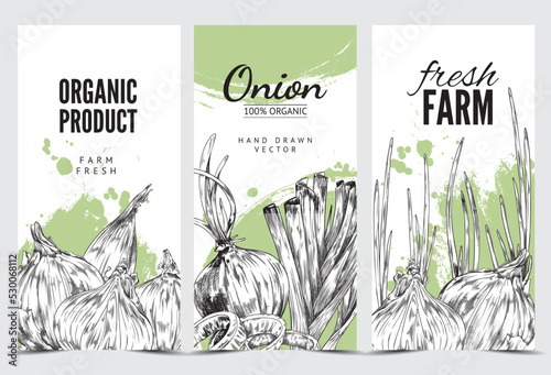 Organic onion advertising leaflet or flyer, hand drawn sketch vector illustration.