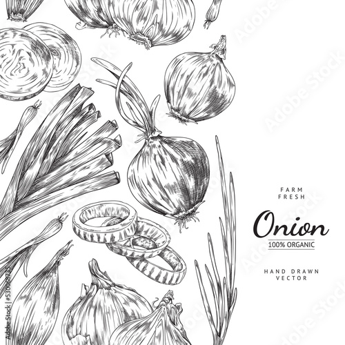 Vertical seamless border with hand drawn different onions sketch style