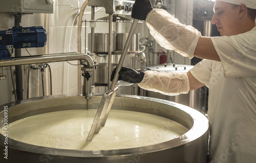 Man is a cheese maker in the process of producing different varieties of cheese in the industry. Milk cheese making