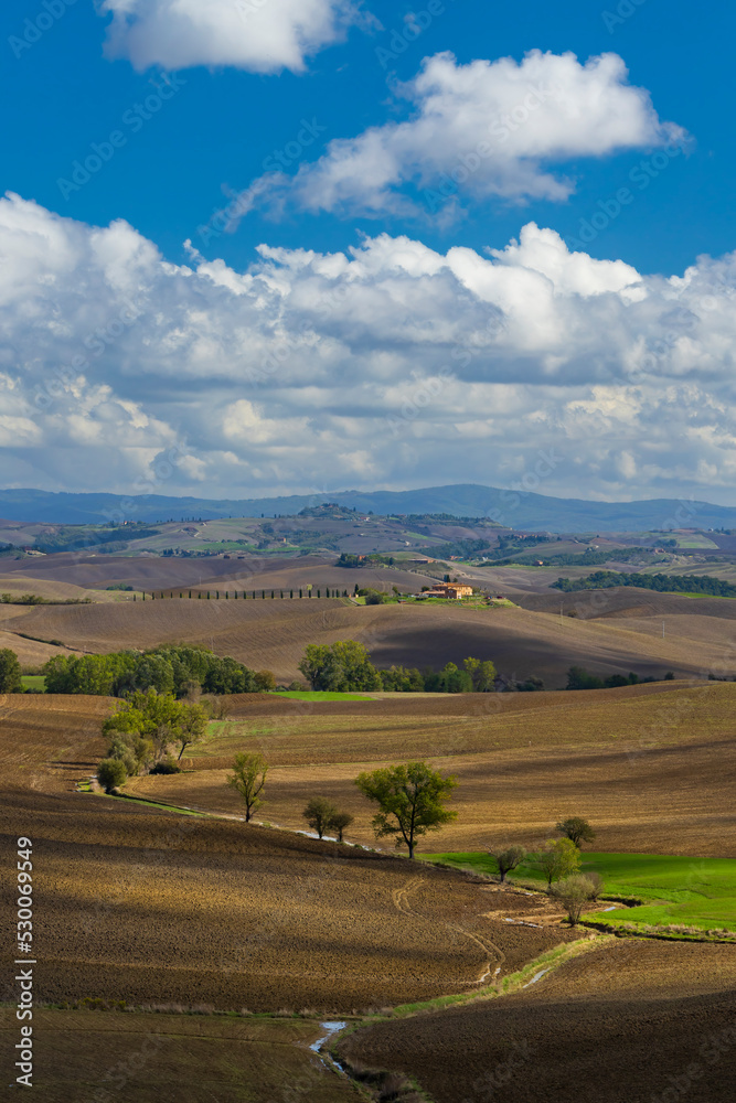 Fototapeta premium Typical Tuscan landscape near Siena, Tuscany, Italy