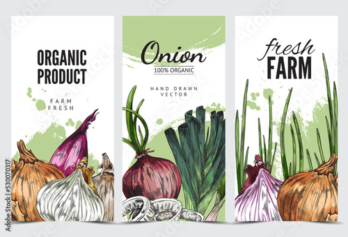 Set of flyers with hand drawn onions sketch style, vector illustration