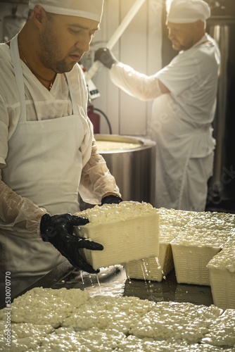 Man is a cheese maker in the process of producing different varieties of cheese in the industry. Milk cheese making