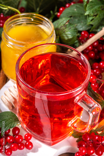 Organic herbal herbal tea, hot autumn drink with fresh viburnum berries. Viburnum tea with honey and cinnamon