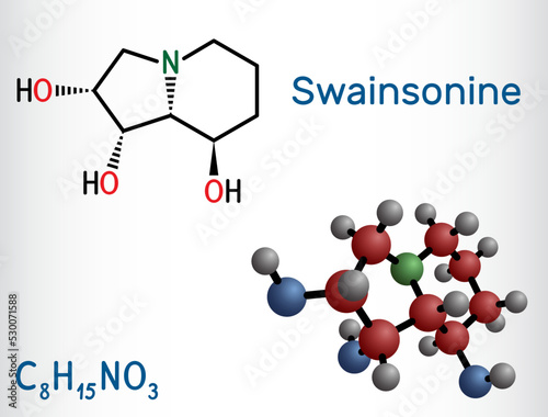 Swainsonine, tridolgosir molecule. It is indolizidine alkaloid from the plant Swainsona, with immunomodulatory activity. Structural chemical formula, molecule model.