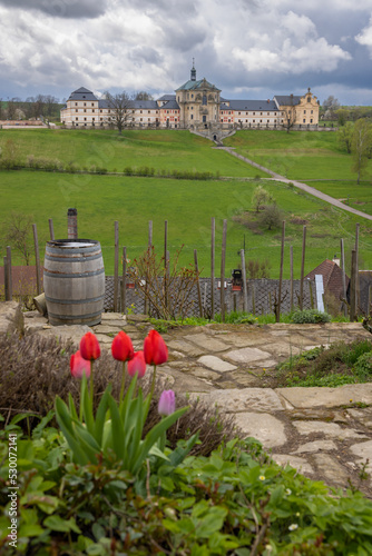 Small vineyard and Kuks hospic, Eastern Bohemia, Czech Republic photo