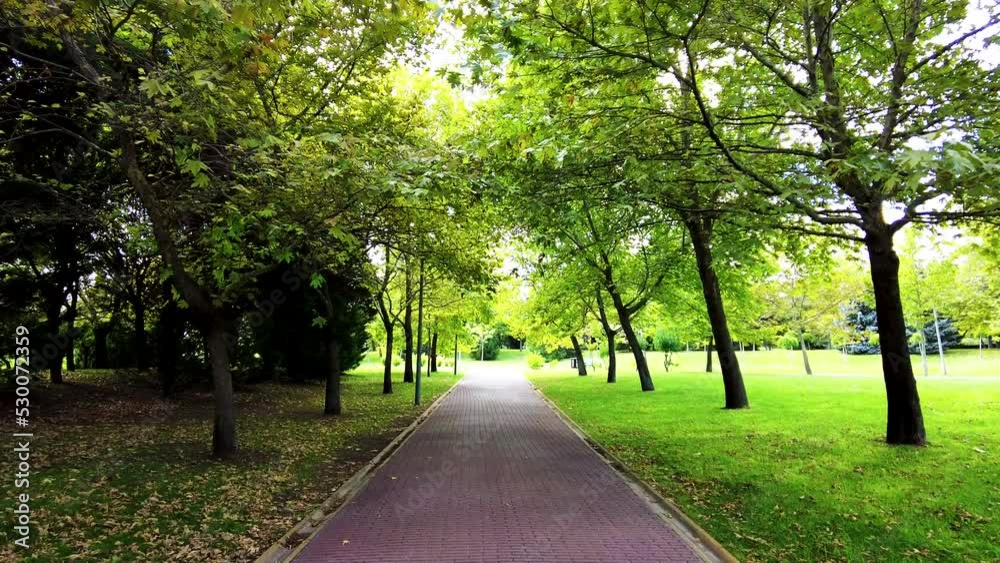 path in the park path in the park