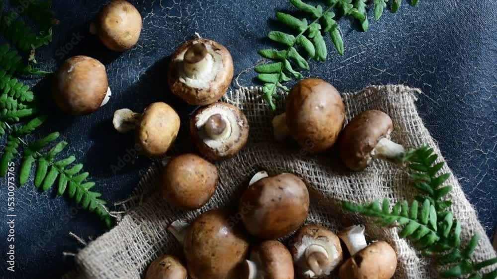 Mushrooms champignons food autumn cuisine Mushrooms champignons food autumn cuisine