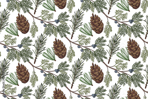 Magical forest. Botanical seamless pattern. Vintage. Vector illustration. Green plants, pine cones on white background.