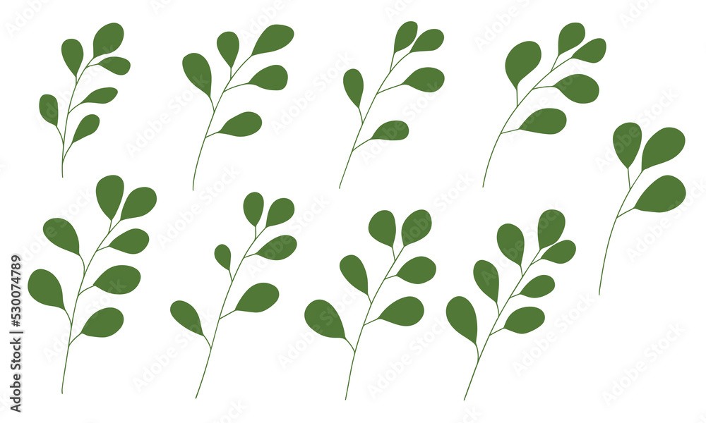 Set of green branch with leaves. Hand draw vector illustration.