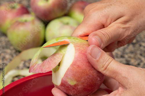 Close up of freshl;y picked apples being peeled photo