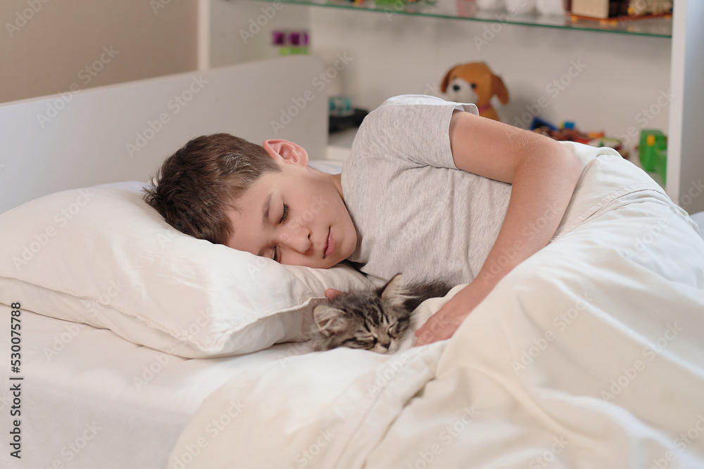 little asian boy with kitten sweetly sleep in bed. Child and cat. Kids and pets. Little kid with his animal. Toddler and kitty sleep. little asian boy with kitten sweetly sleep in bed. Child and cat. Kids and pets. Little kid with his animal. Toddler and kitty sleep.