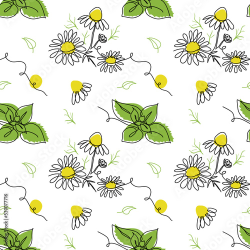 Vector chamomile flower seamless pattern with ladybug. Background design for herbal tea, natural cosmetics, health care products, aromatherapy, homeopathy. Best for print, wrapping paper