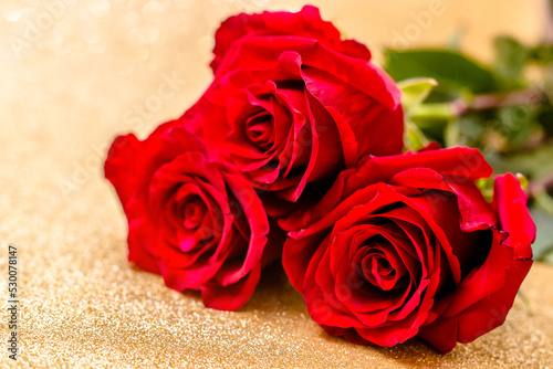 Red rose on a shiny gold background 