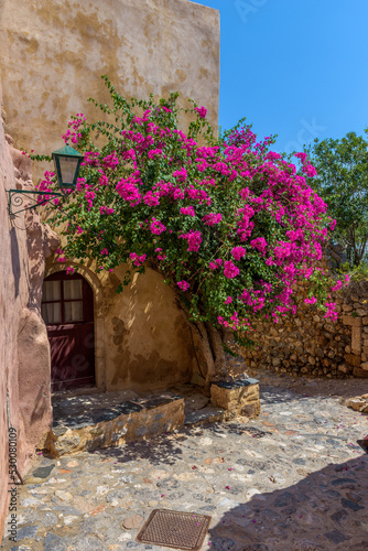 Fototapeta Naklejka Na Ścianę i Meble -  Traditional architecture with  a narrow  stone street and a colorfull bougainvillea in  the medieval  castle of Monemvasia, Lakonia, Peloponnese, Greece.