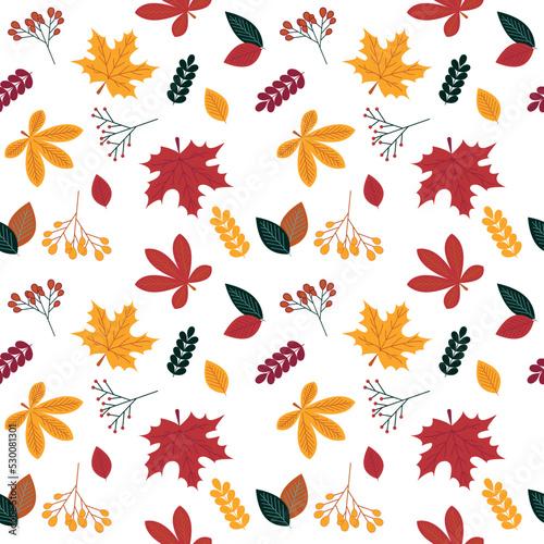 Autumn leaves seamless pattern on white background. Vector.