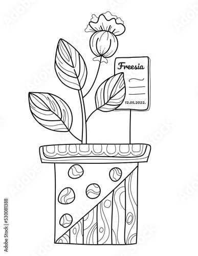 Hand drawn coloring page for kids and adults. Bouquet of flowers in a teapot. Beautiful drawing with patterns and small details. Positive Coloring book pictures with blooming flowers, gardening