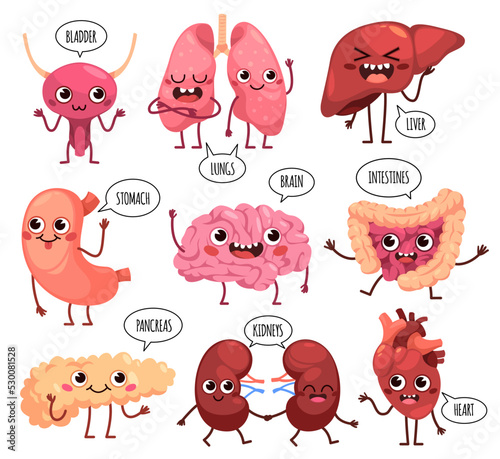 Cartoon cute organs characters. Happy healthy human organs, funny kidney, lungs and brain, stomach with faces, speech bubbles with text, anatomy collection tidy vector isolated set