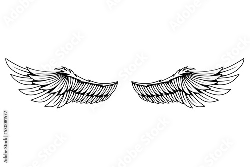 Vintage heraldic wings sketch. Monochrome stylized birds wings. Hand drawn contoured stiker wing in open position. Design elements in coloring style