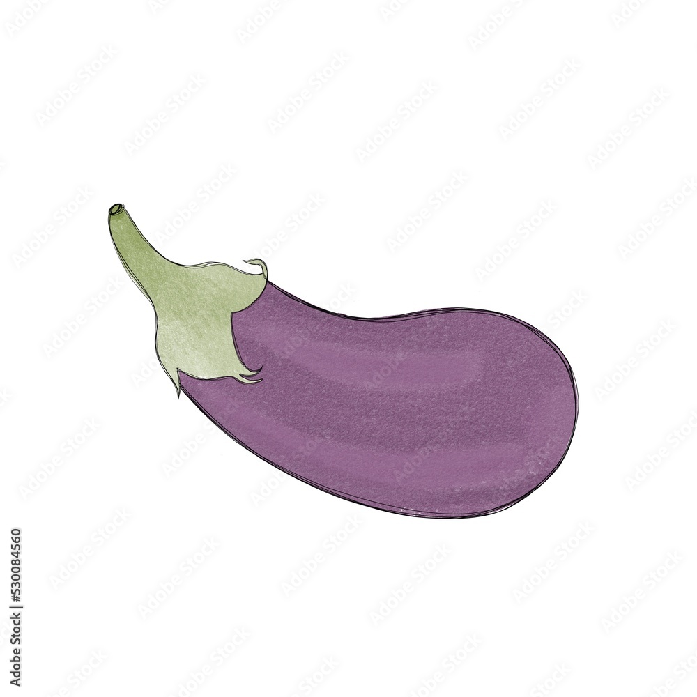 juicy ripe eggplant - hand drawn watercolor illustration juicy ripe eggplant - hand drawn watercolor illustration