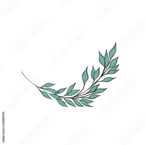 Hand drawn floral frames with flowers, branch and leaves. Elegant logo templa...