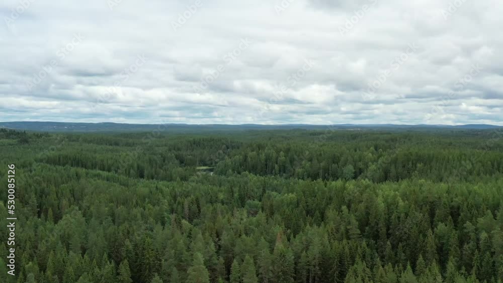 survol de la foret, des lacs et rivières en Suède survol de la foret, des lacs et rivières en Suède