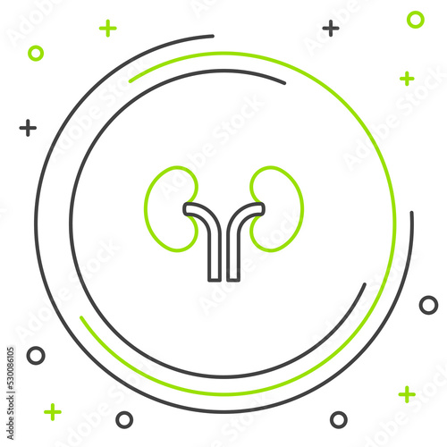 Line Human kidneys icon isolated on white background. Colorful outline concept. Vector