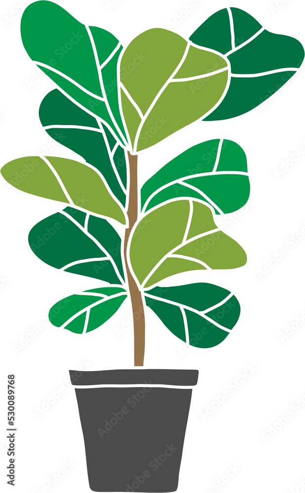 freehand sketch drawing of fiddle leaf fig tree. freehand sketch drawing of fiddle leaf fig tree.
