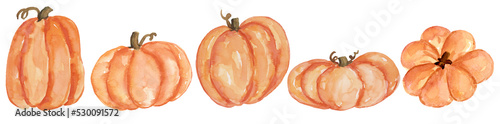 Orange pumpkin elements in watercolor painting, hand painted for Autumn Thanksgiving or Halloween Design