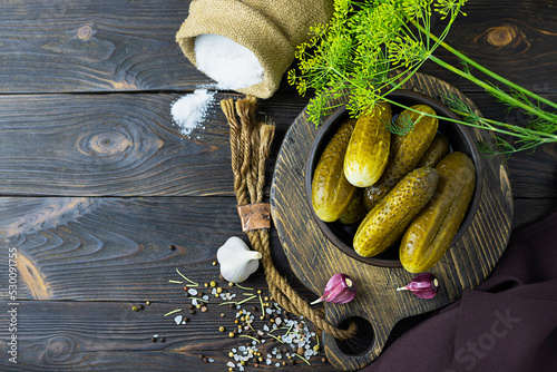 Pickled cucumbers with dill and garlic in a clay plate. Salt in a canvas bag in the background. Dark wooden background, space for text