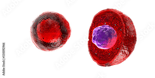 Cellular therapy , Regeneration , Disease treatment, transparent background photo