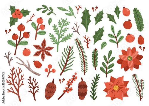 Christmas berry leaf and branch set flat vector