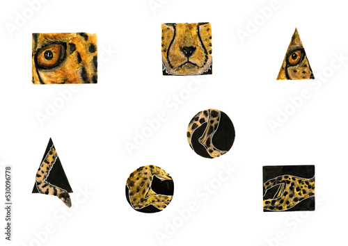 watercolor set cheetah wild , cat eye, geometry square, triangle, circle on a white background, for design