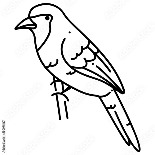 Orange-crowned oriole icon