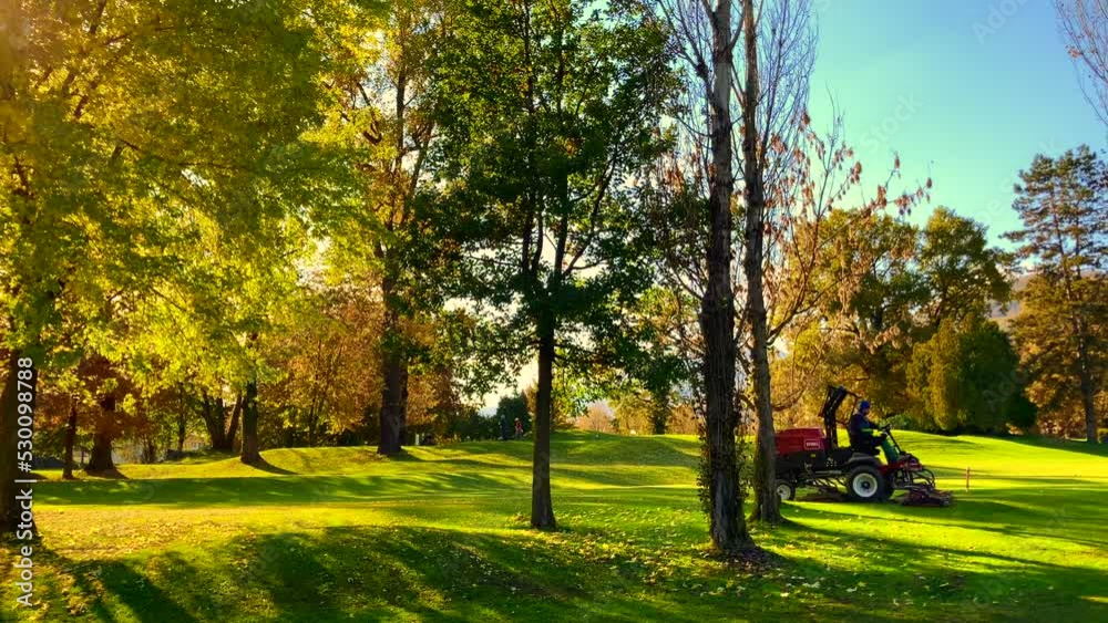 custom made wallpaper toronto digitalLawn Mower Machine Cleaning Up the Autumn Leaf on Golf Course with Trees and Sunlight in Switzerland.