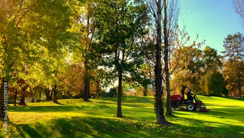 Wallpaper Mural Lawn Mower Machine Cleaning Up the Autumn Leaf on Golf Course with Trees and Sunlight in Switzerland. Torontodigital.ca