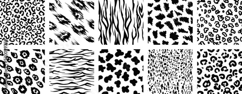 Monochrome animal prints