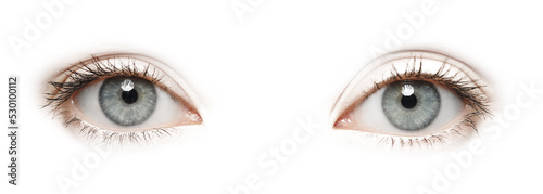 Fotografía Beautiful human eyes on white background. Banner design