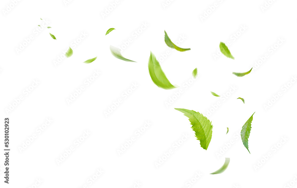Green Floating Leaves Flying Leaves Green Leaf Dancing, Air Purifier Atmosphere Simple Main Picture. Green Floating Leaves Flying Leaves Green Leaf Dancing, Air Purifier Atmosphere Simple Main Picture.