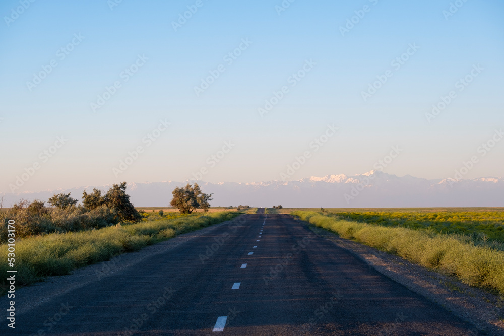 Road in the steppe stretching into the distance. Road line through the steppe in summer. Road trip concept.