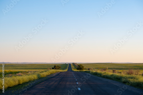 Road in the steppe stretching into the distance. Road line through the steppe in summer. Road trip concept.